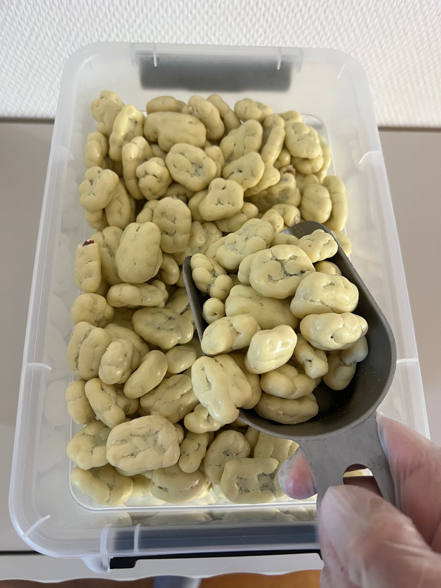 Noix de pécan enrobées – PECANDOU